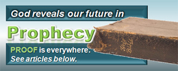 Bible Prophecy