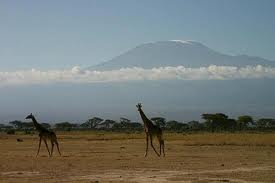 Kilimanjaro